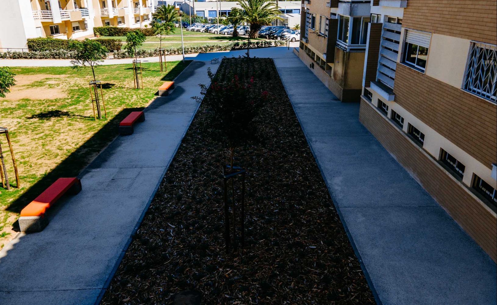  Hortas Urbanas e Parque Infantil - Bairro da Cruz Vermelha